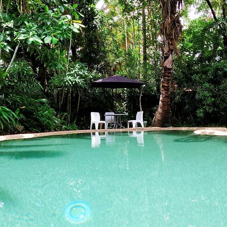 Travellers Paradise Κερνς Εξωτερικό φωτογραφία The swimming pool at the Rainforest Ecolodge