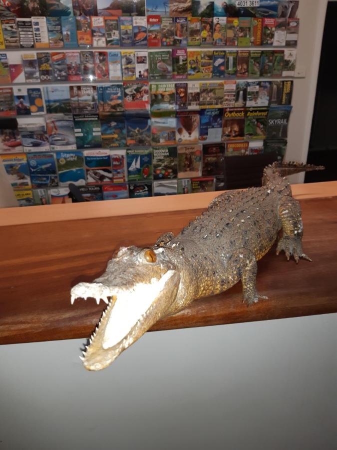 Travellers Paradise Κερνς Εξωτερικό φωτογραφία A model of a saltwater crocodile