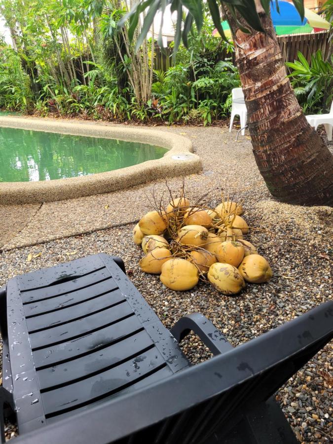 Travellers Paradise Κερνς Εξωτερικό φωτογραφία Coconuts at a pool in Fiji